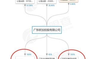 真我手机和一加oppo是什么关系？