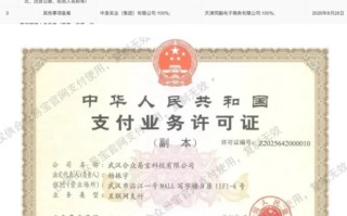 拿下支付牌照，字节跳动与阿里巴巴的战争全面升级