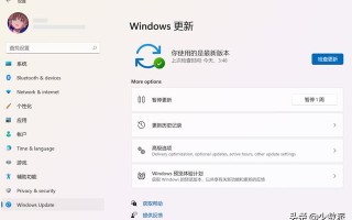 如何免费升级到 Windows 11？这份指南请收好