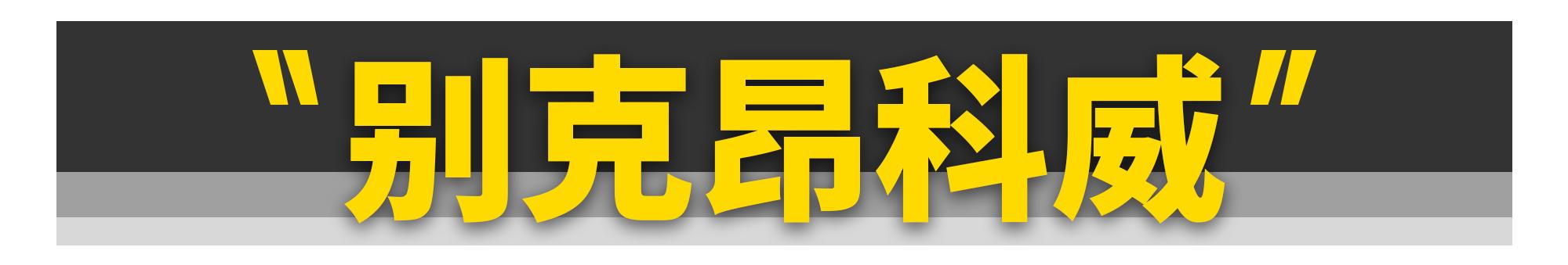 这11款“中国特供车”，居然是冒牌货？-第18张图片-易维数码