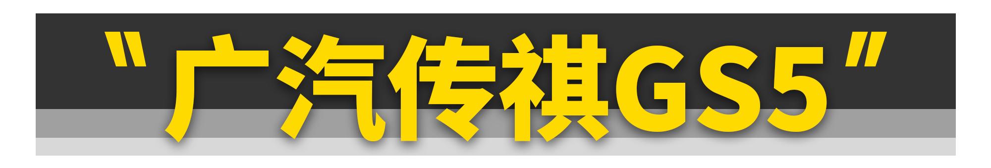 这11款“中国特供车”，居然是冒牌货？-第47张图片-易维数码