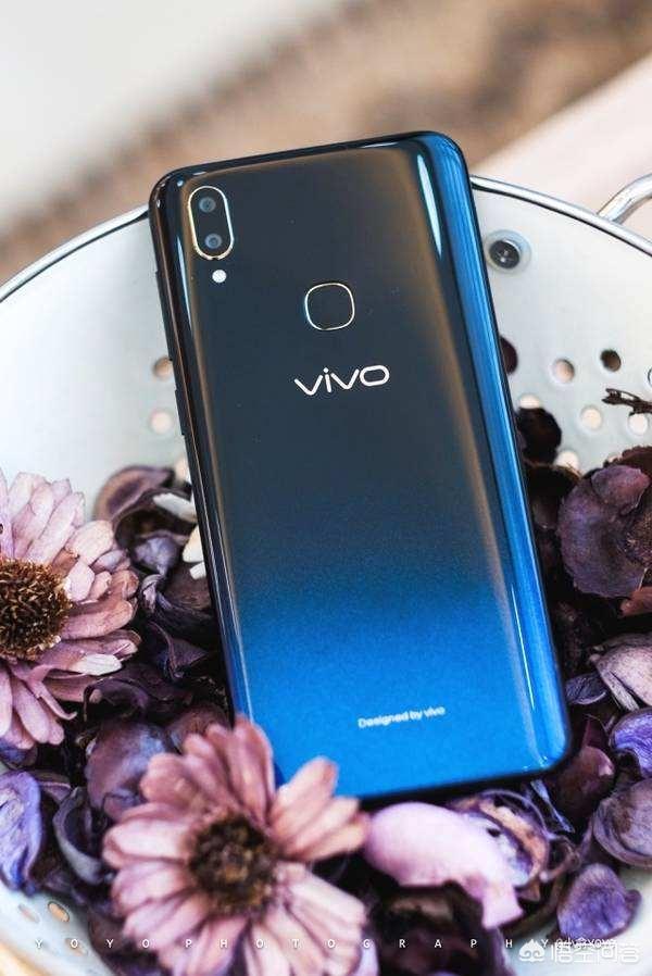 vivo牌子中，有哪些性价比高的手机？-第8张图片-易维数码