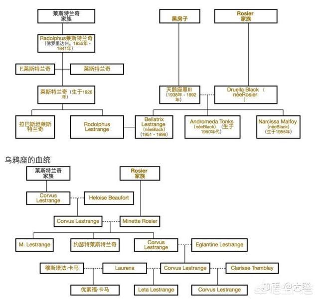 《神奇动物2》中莉塔·莱斯特兰奇落水的弟弟考乌斯还活着么？为什么？-第9张图片-易维数码