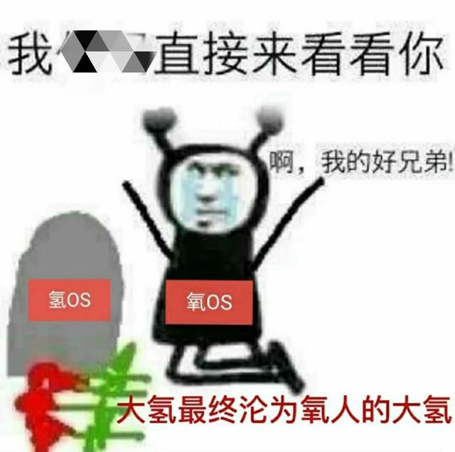 一加回归 OPPO，背后的秘密不可告人-第17张图片-易维数码